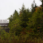 Photo preview of Monongahela National Forest