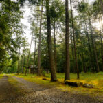 Photo preview of Greenbrier State Forest