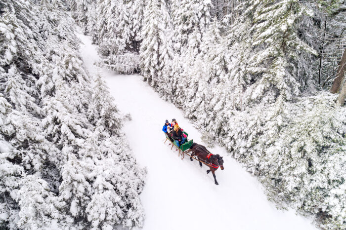 Pocahontas County, winter, sleigh ride, Snowshoe Mountain