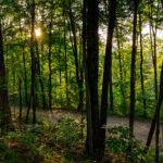 Photo preview of Kanawha State Forest