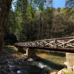 Photo preview of Panther State Forest