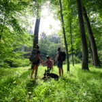 Photo preview of North Bend State Park