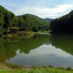 Photo preview of Berwind Lake Wildlife Management Area