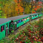 Photo preview of Durbin and Greenbrier Valley Railroad