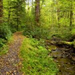 Photo preview of Cathedral State Park