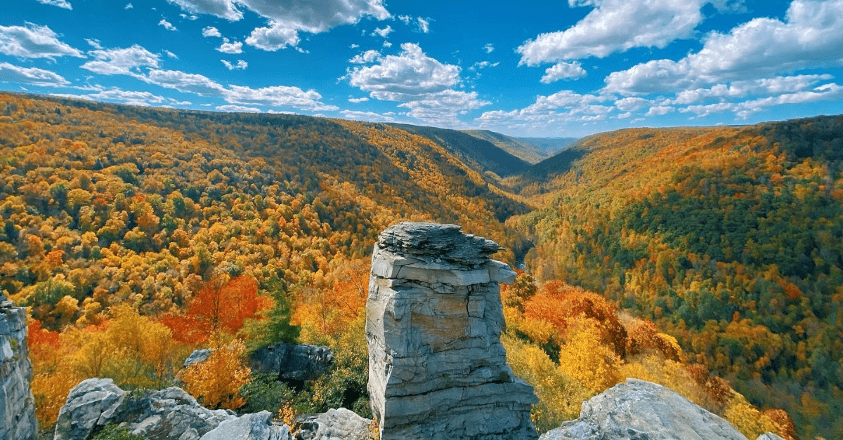 Coopers Rock, Fall