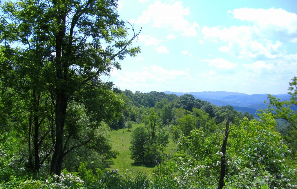 Gauley River Wild & Woolly Primitive Campground Almost Heaven West