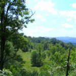 Photo preview of Gauley River Wild & Woolly Primitive Campground