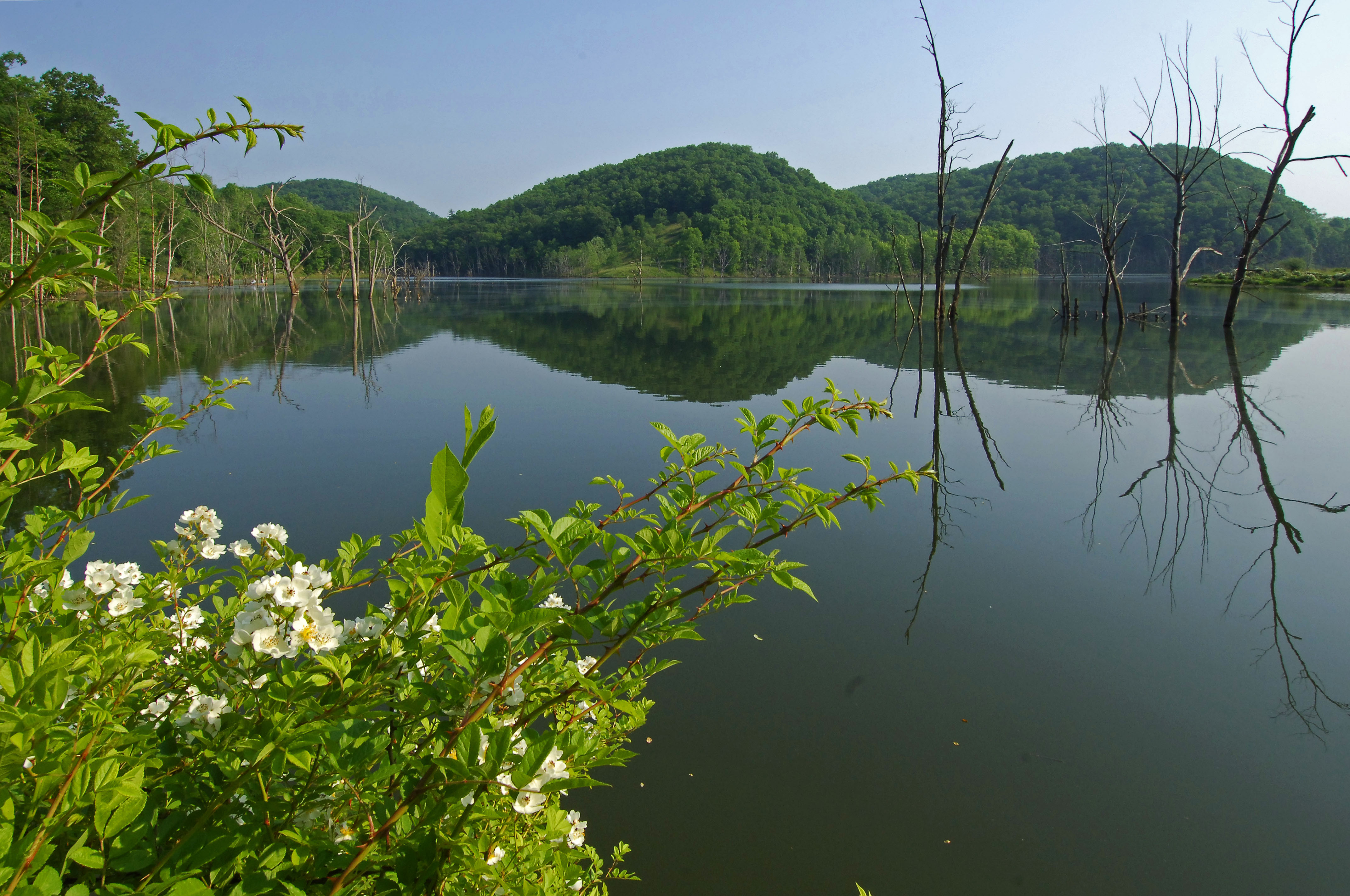 North Bend State Park in Ritchie County, WV. Almost Heaven West