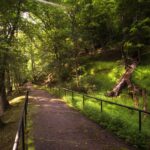 Photo preview of North Bend Rail Trail