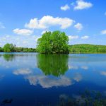 Photo preview of Rollins Lake