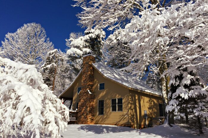 Lewis County, Cabin