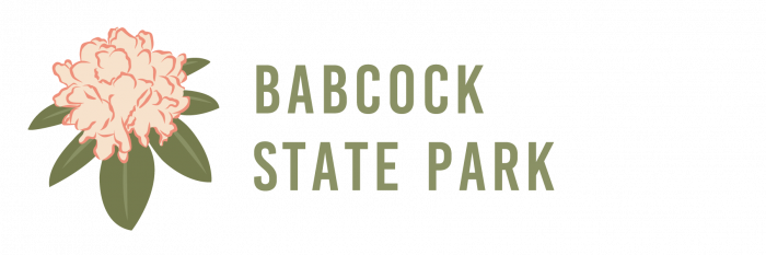 Babcock State Park - Almost Heaven - West Virginia : Almost Heaven ...