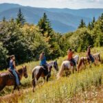 Photo preview of Autumn Breeze Stables