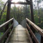 Photo preview of Blue Bend Recreation Area (USDA Forest Service)