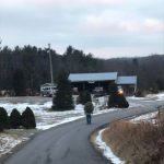 Photo preview of Bluestone Nursery