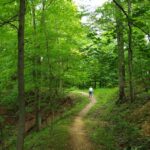 Photo preview of Mountwood Park Family Campground