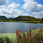 Photo preview of Pleasant Creek WMA - Barbour/Taylor