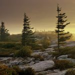 Photo preview of Bear Rocks Preserve