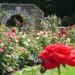 Photo preview of Ritter Park