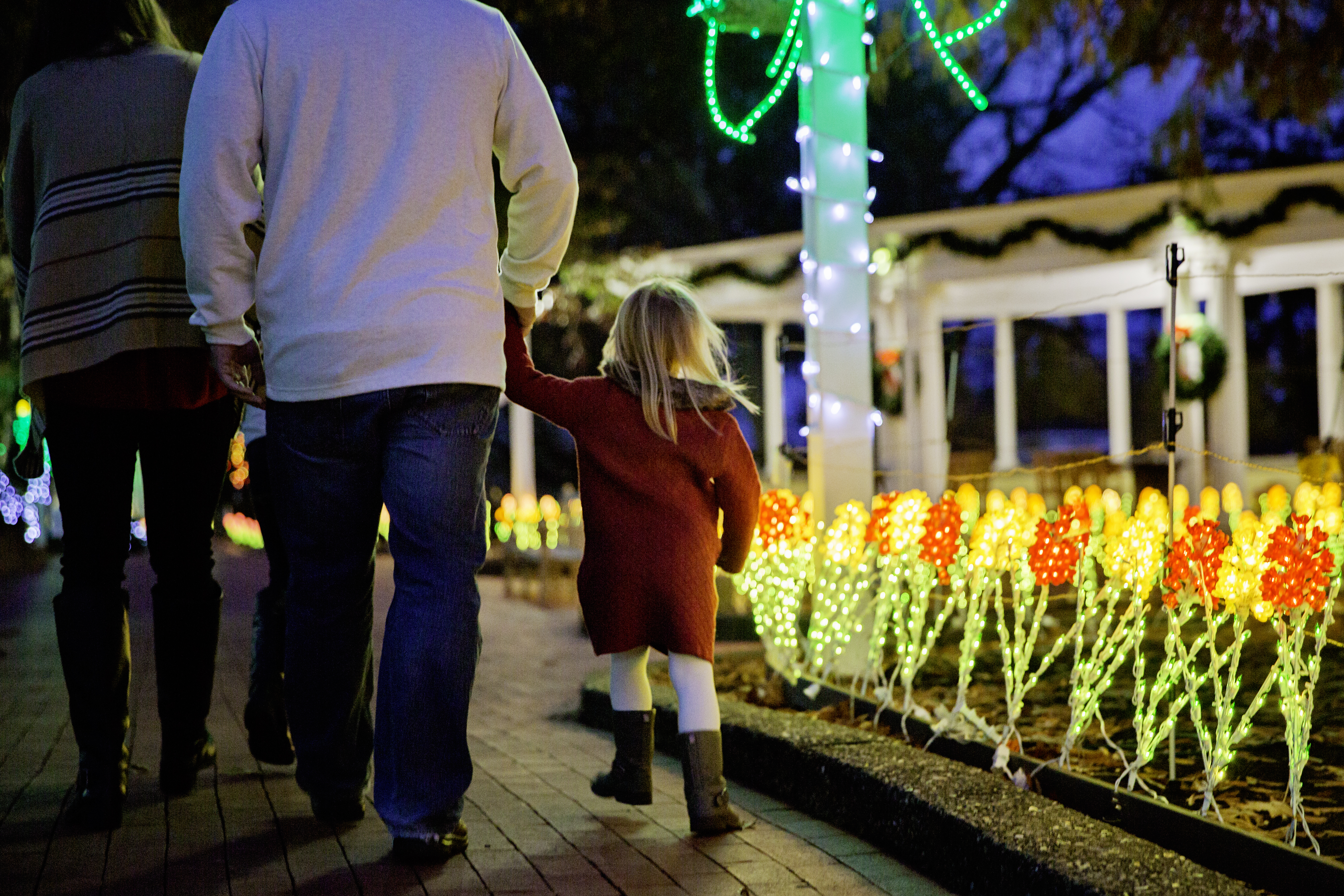 Coonskin Park Christmas Lights 2021