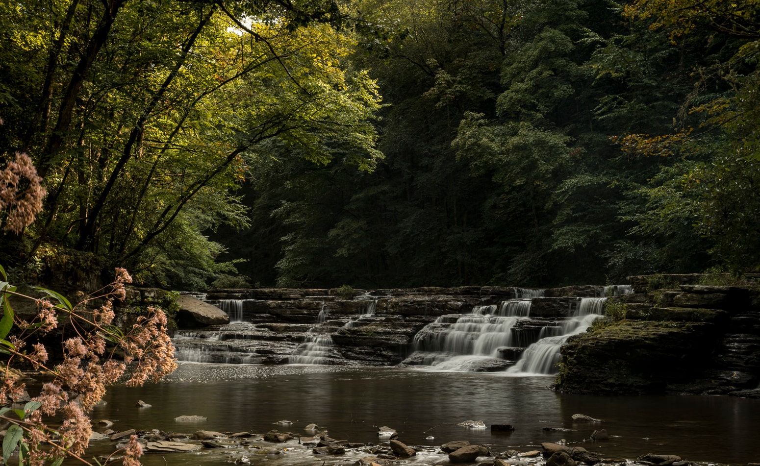 Camp Creek State Park and Forest Almost Heaven West Virginia