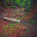 Photo preview of SpencerTrails