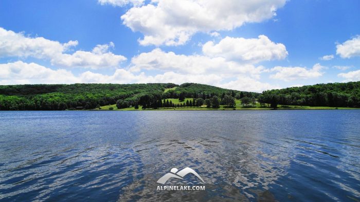 2016 Summer Music Festival