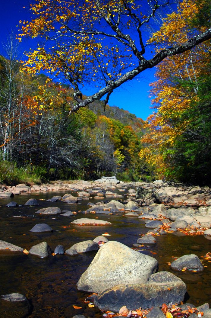 Williams River in autumn