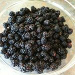 Photo preview of Dogs Run Farm