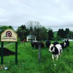 Photo preview of Possum Tail Farm, LLC