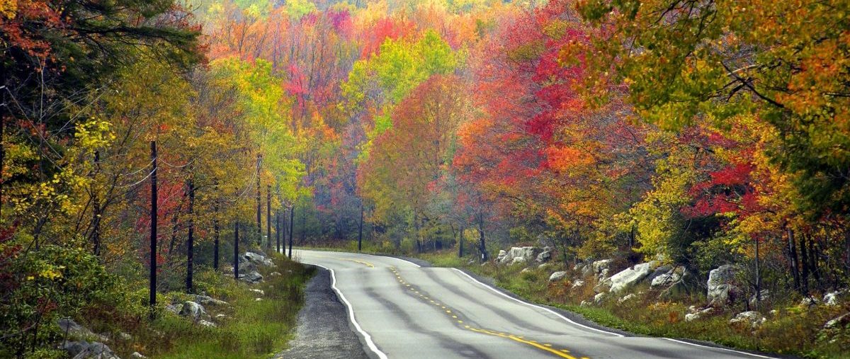 Autumn country road, Tucker County, West Virginia