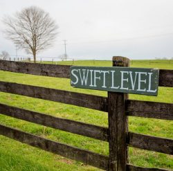 Swift Level Farm pasture, West Virginia