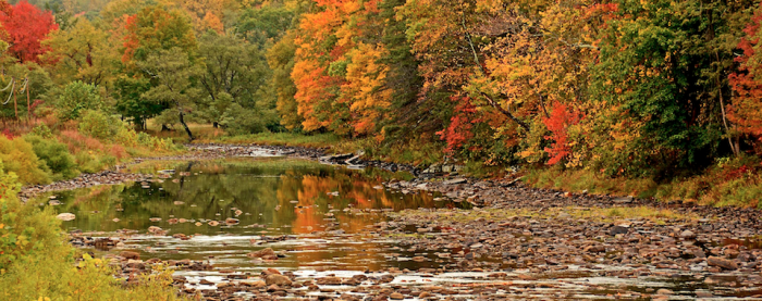 Fall along the Greenbrier River near Cass 