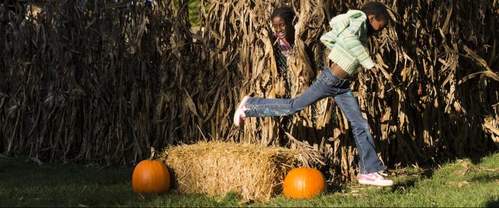 Corn mazes and pumpkins, West Virginia