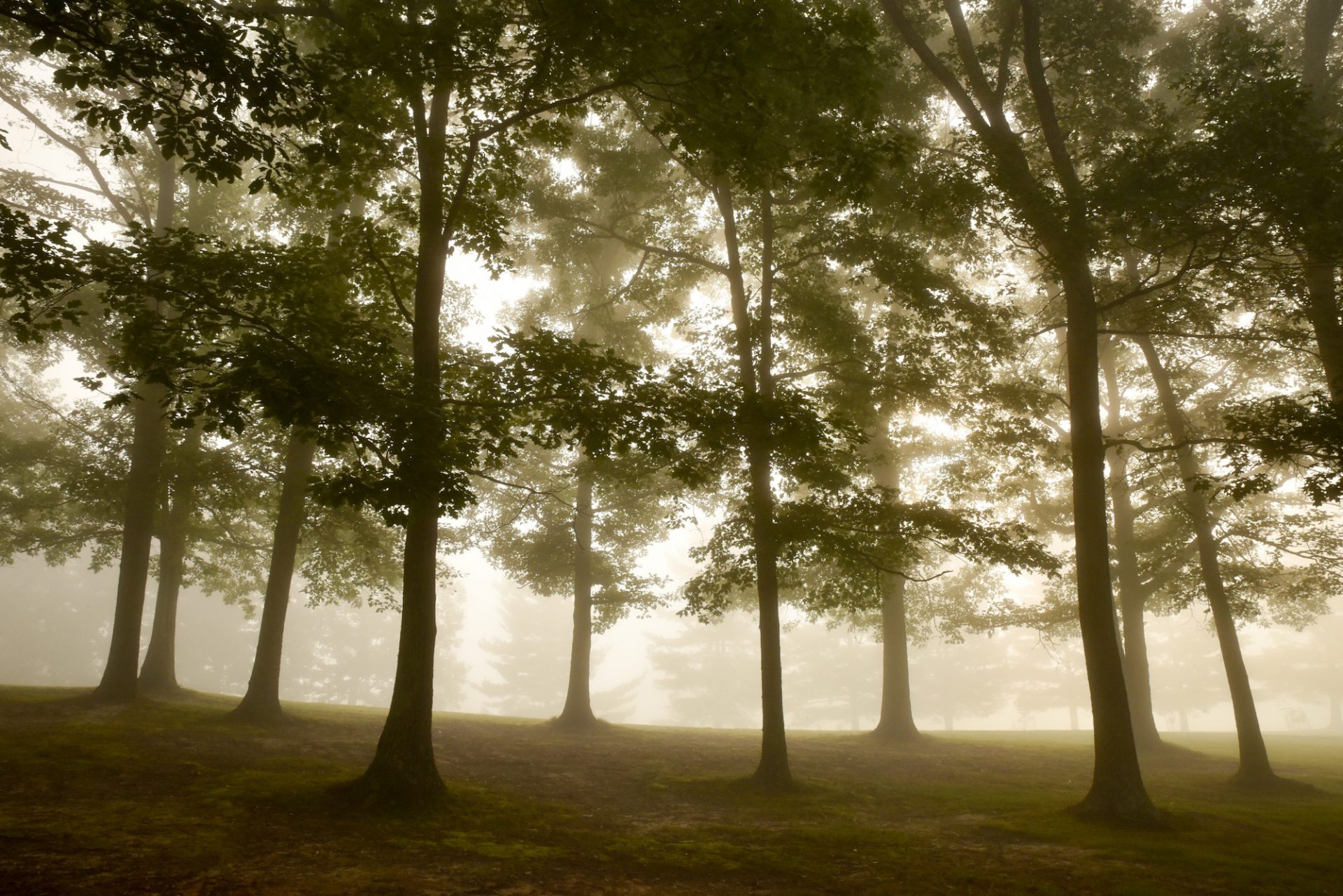 5 spooky cemeteries you can explore - Almost Heaven - West Virginia