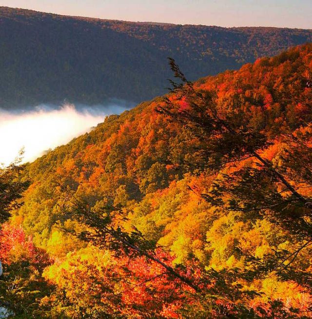 Fall leaf peepers Here's what's peaking in the mountains right now
