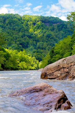 Boulders and whitewater in Cheat River, West Virginia