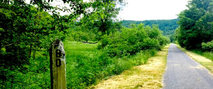 Path along Greenbrier River Trail, West Virginia