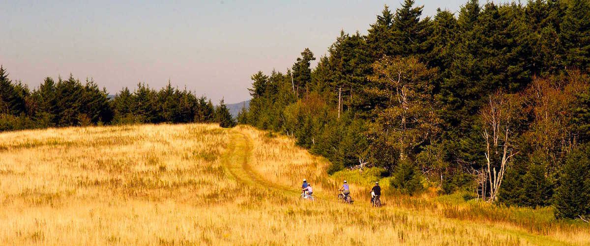 Mountain bike riders along trail in West Virginia