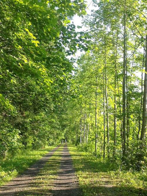 Cycling on the Paint Creek Scenic Trail Almost Heaven West Virginia