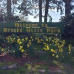 Photo preview of Brooke Hills Park