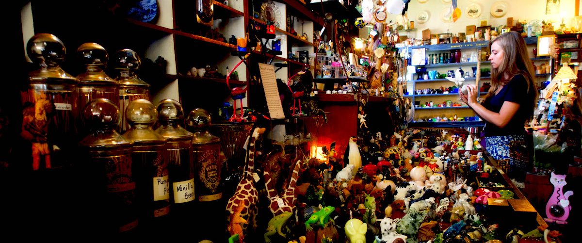 Stuffed animals, candy, and shelves of goodies at Berdine's Five and Dime, WV