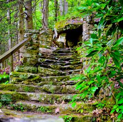 Moss-covered steps at Babcock State Park, WV