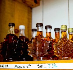 Bottles of dark and golden West Virginia maple syrup.