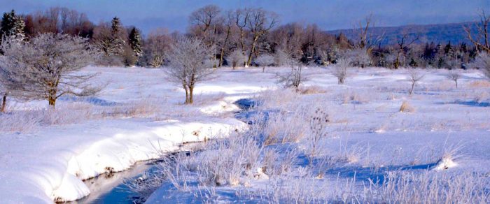 Snowy field and stream in Canaan Valley, WV
