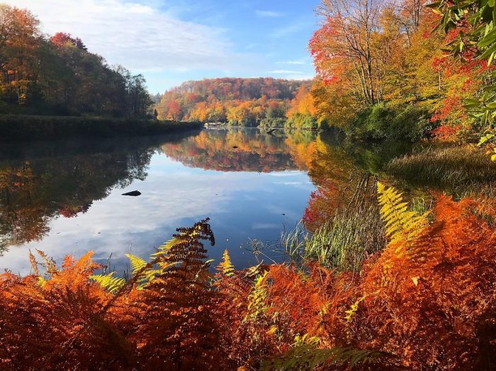 Thomas, Fall