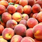 Photo preview of Kitchen's Orchard