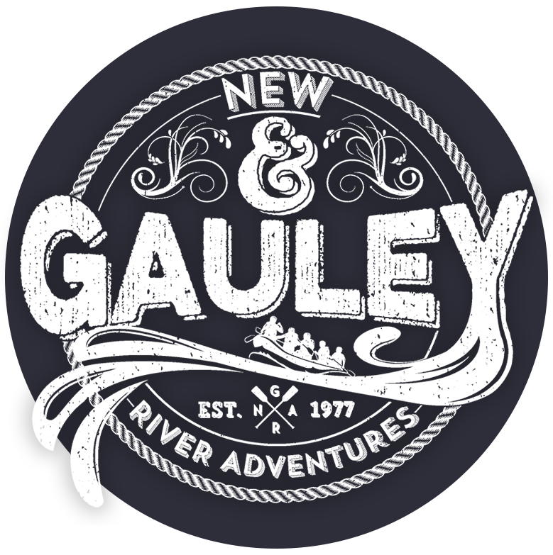 New and Gauley Logo Almost Heaven West Virginia