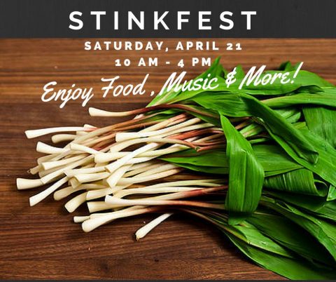 StinkFest! Ramp Festival - Almost Heaven - West Virginia : Almost